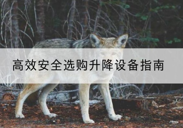 南雄升降货梯厂家推荐-*安全选购升降设备指南