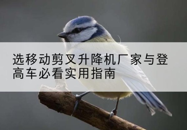 南雄电动升降机厂家-选移动剪叉升降机厂家与登高车必看实用指南