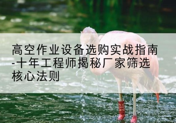 南雄剪叉式升降机厂家-高空作业设备选购实战指南-十年工程师揭秘厂家筛选核心法则